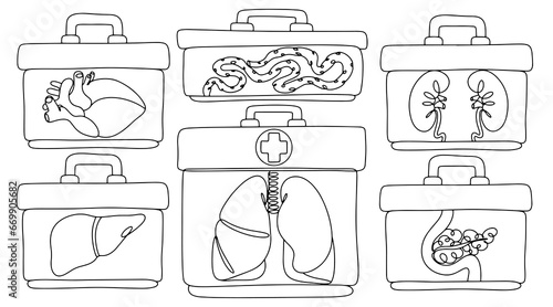 Organs. Transplantation. One line