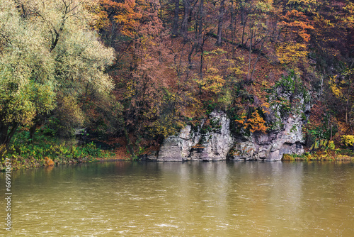 Fototapeta Naklejka Na Ścianę i Meble -  trees in fall foliage on the rocky shore of a river. autumnal nature scenery of carpathian countryside
