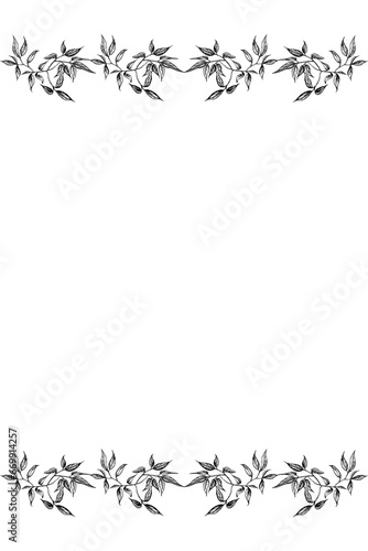 Seamless Horizontal foliage frame pattern. Leaf Border. Vector illustration. Hand drawn leaves.