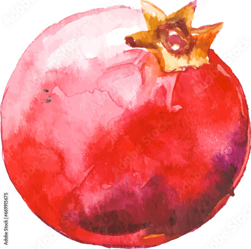 Vector Watercolor painted pomegranate. Hand drawn fresh food design elements isolated on white background.