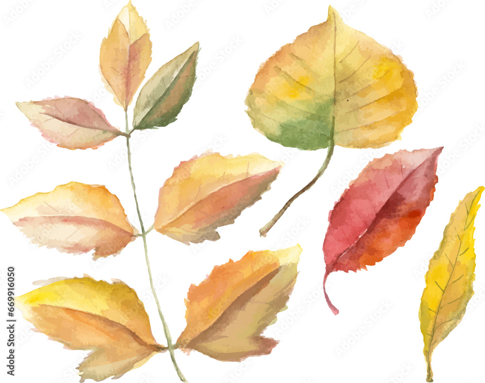 Fototapeta premium Abstract vector watercolor illustration of autumn leaves. Hand drawn nature design elements isolated on white background.