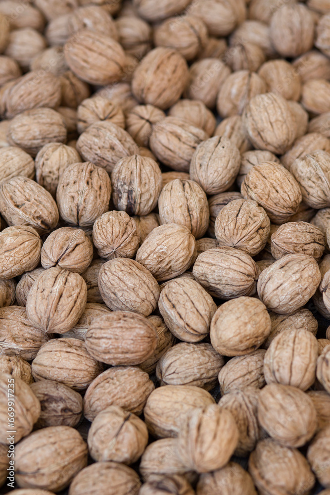 many walnuts close-up many walnuts close-up