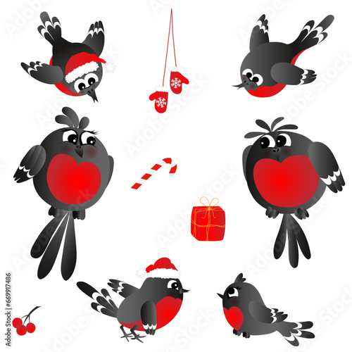 Set of cute, funny family of bullfinches.  Vector illustration EPS10.