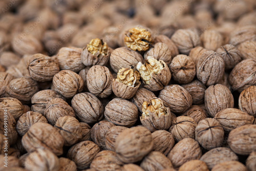 many walnuts close-up many walnuts close-up