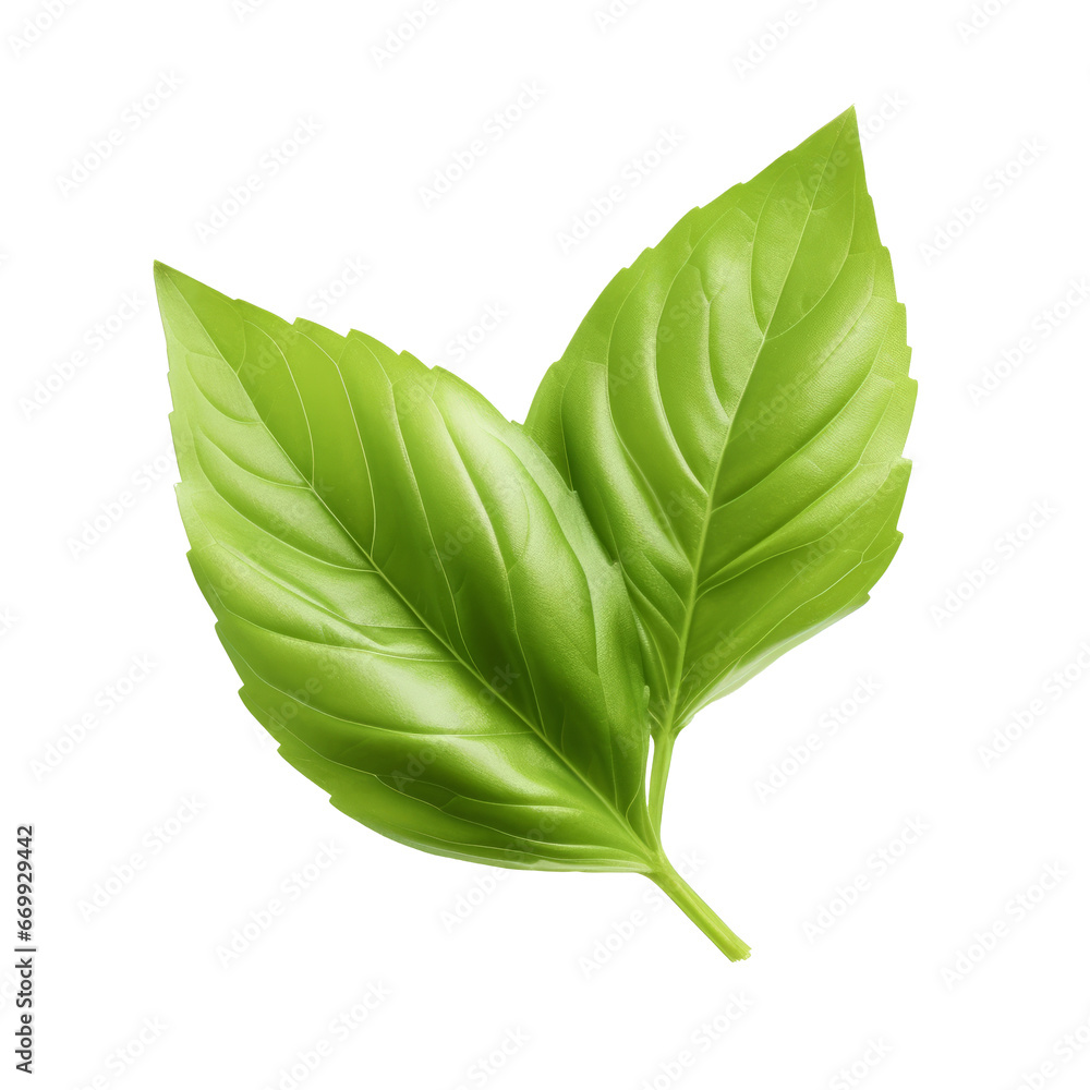 Fototapeta premium Basil leaf isolated, with transparent background. AI generative.