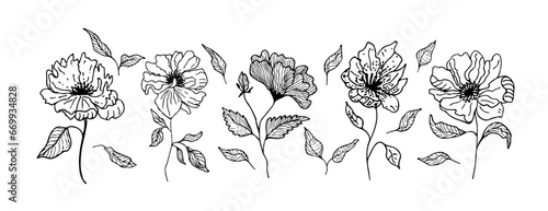 Spring flowers hand drawn vector set. Black brush flower silhouettes. Roses, peonies, daisy isolated cliparts. Floral drawings collection. Grunge dry paint brushstrokes on white background.