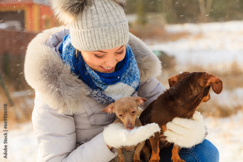 Woman playing with dogs during winter Woman playing with dogs during winter
