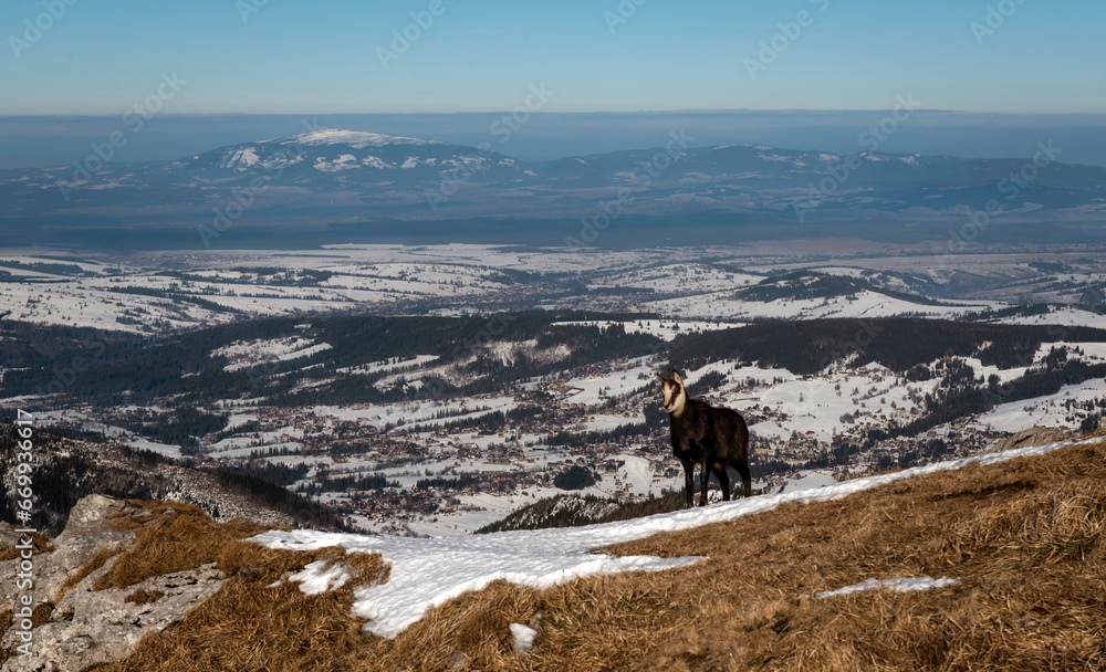 Tatry WYsokie