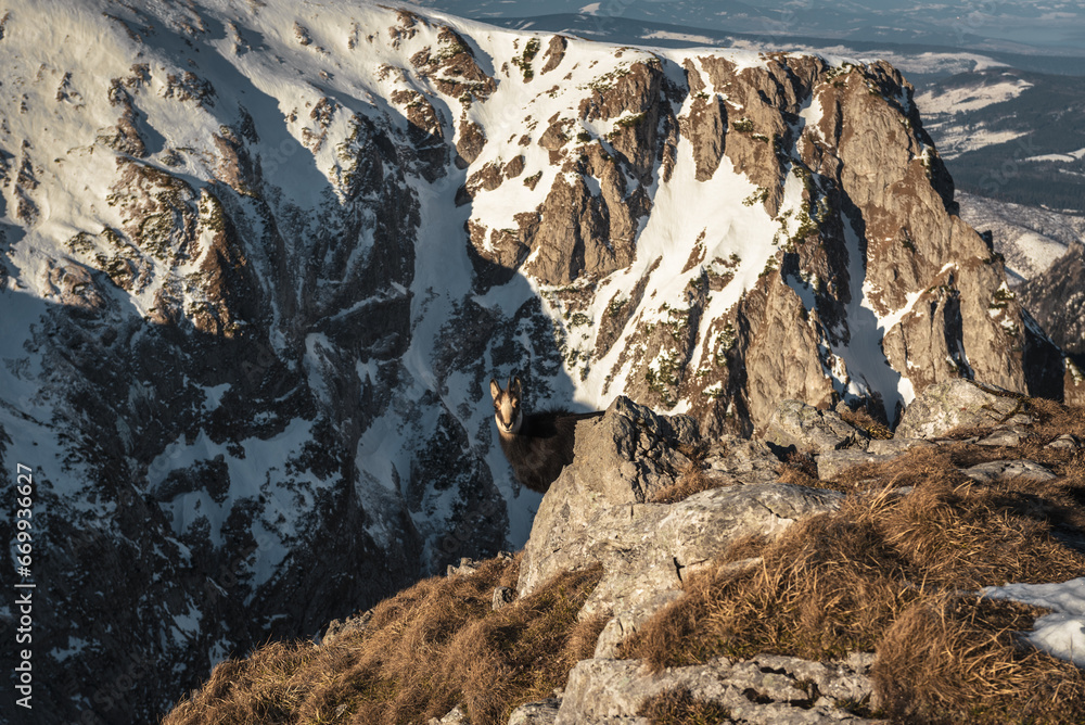 Tatry WYsokie
