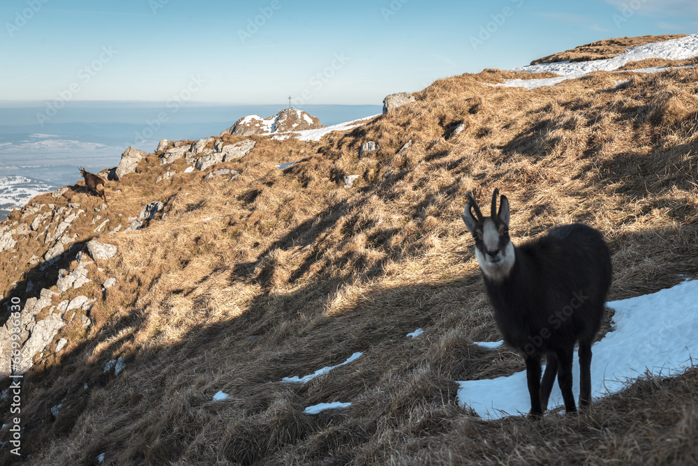 Tatry WYsokie