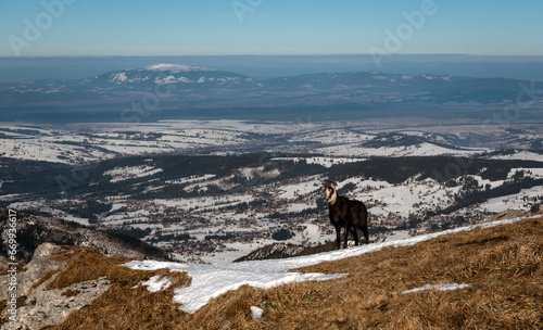 Obraz na płótnie Tatry WYsokie w salonie
