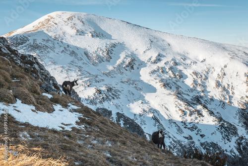 Obraz na płótnie Tatry WYsokie w salonie
