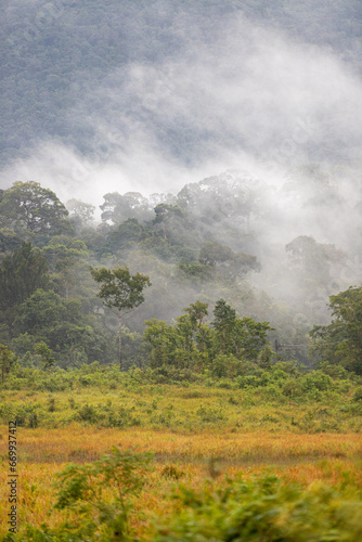 Landscape of mountain and forest with fog at Khao Yai National Park, Nakhon Ratchasima Province, Thailand