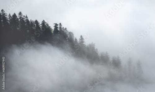 Mgła © kamil