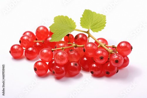 Fresh red currant on white background