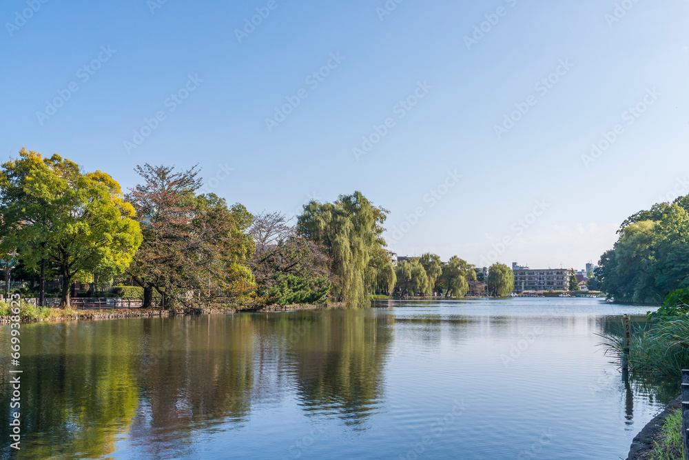 石神井公園の風景