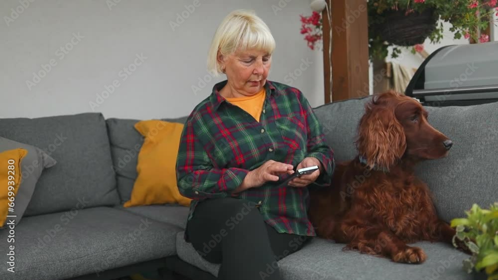 Beautiful young woman working with phone resting on couch at backyard. Cute Irish Setter dog resting at a cozy outdoor sofa in the garden. High quality FullHD footage Beautiful young woman working with phone resting on couch at backyard. Cute Irish Setter dog resting at a cozy outdoor sofa in the garden. High quality FullHD footage