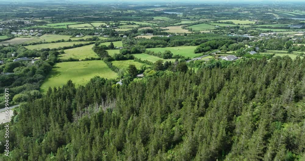 A bird's eye view of a coniferous forest in the middle of a green valley 4k A bird's eye view of a coniferous forest in the middle of a green valley 4k