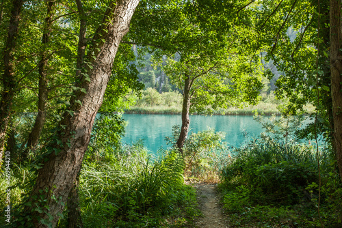Fototapeta Naklejka Na Ścianę i Meble -  Pure lake with turqouise water surrounded by trees in Croatia. Krka river.