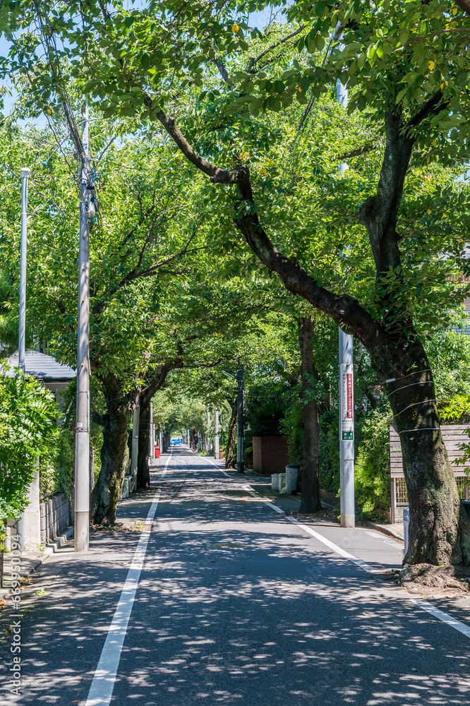 成城学園周辺の風景 成城学園周辺の風景