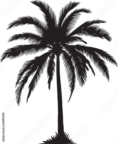 palm tree EPS, palm tree Silhouette, palm tree Vector, palm tree Cut File, palm tree Vector © Milan