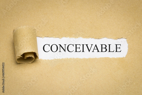 conceivable 