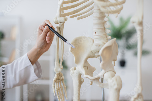 Crop of doctor pointing at skeleton anatomical model in light contemporary office. Experienced female professor in white coat indicating pelvis with pen while teaching lecture for students.