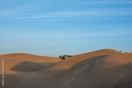 Sand dunes of Maspalomas on Gran Canaria in Spain