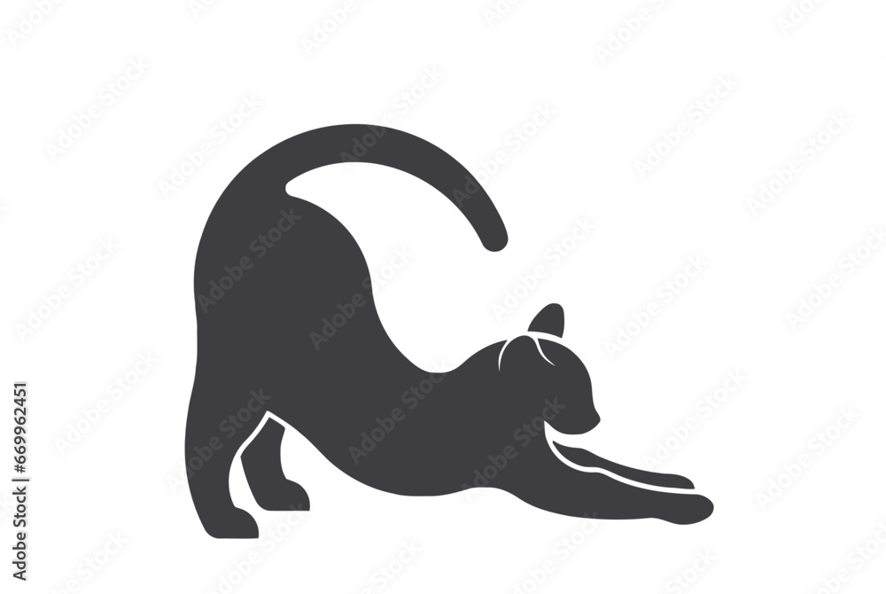 Fototapeta premium silhouette of a cat