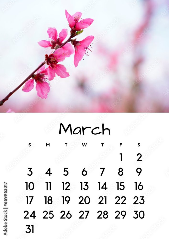 March month on the 2024 calendar with a flower photo. Calendar for 2024 by month. - obrazy, fototapety, plakaty 