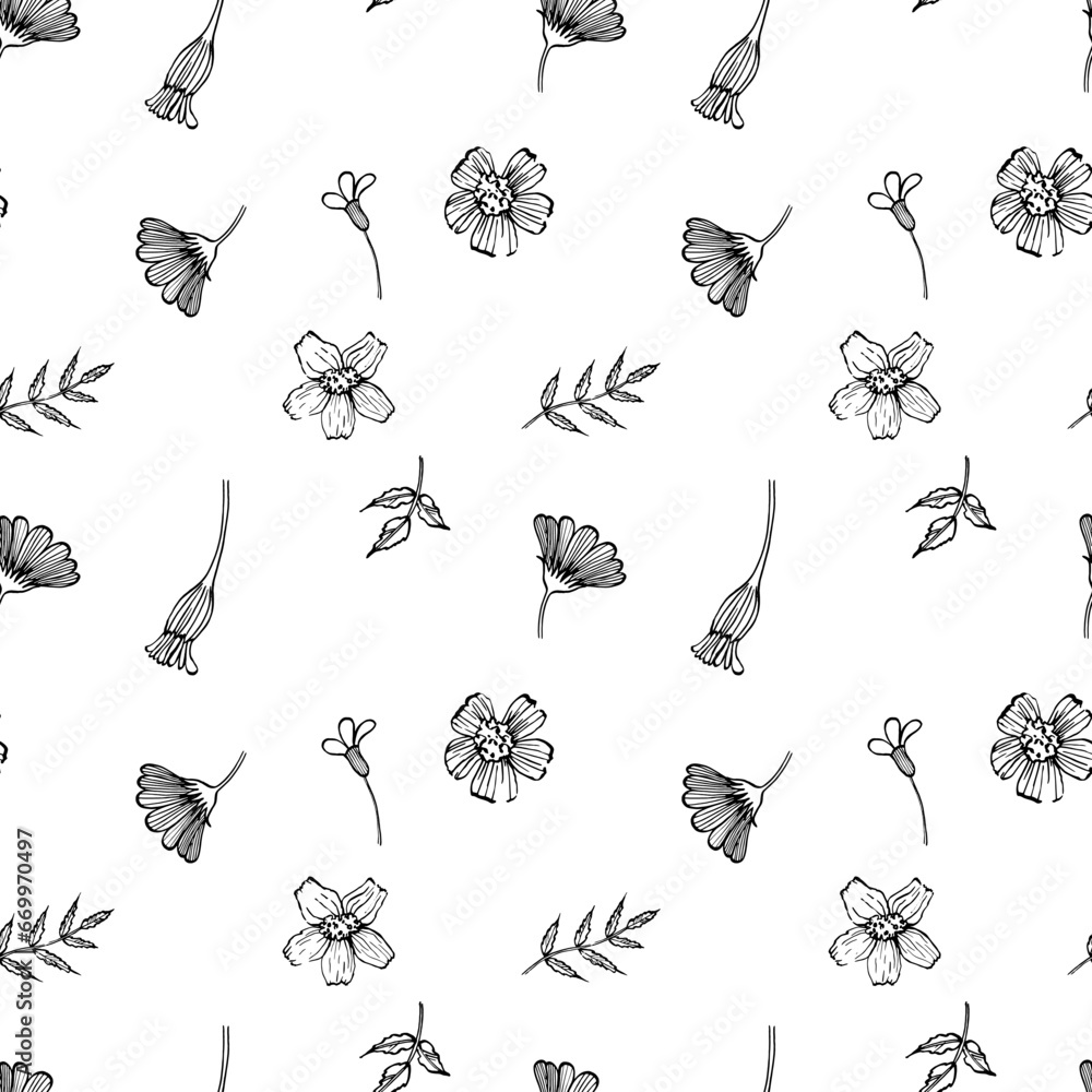 print from sketches of marigolds, seamless pattern for textiles and interior. vector pattern of flowers and leaves print from sketches of marigolds, seamless pattern for textiles and interior. vector pattern of flowers and leaves