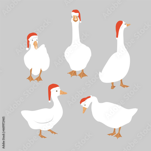 Canvastavla White goose collection in Santa Claus helper hats isolated design element