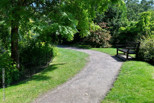 Path in a beautiful park with leafy plants and a wooden bench