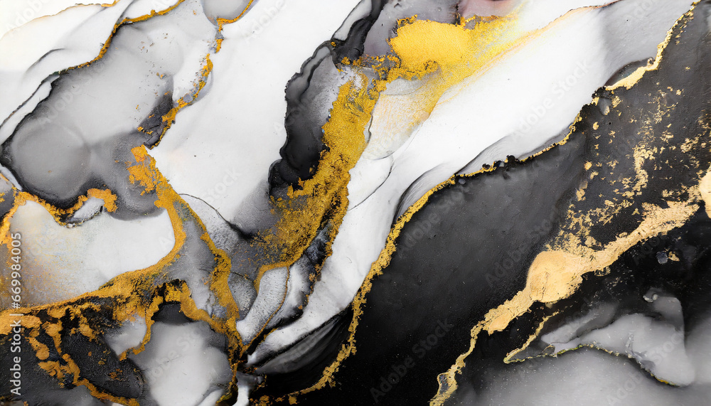 marble white black gold abstract background of marble liquid ink art painting on paper