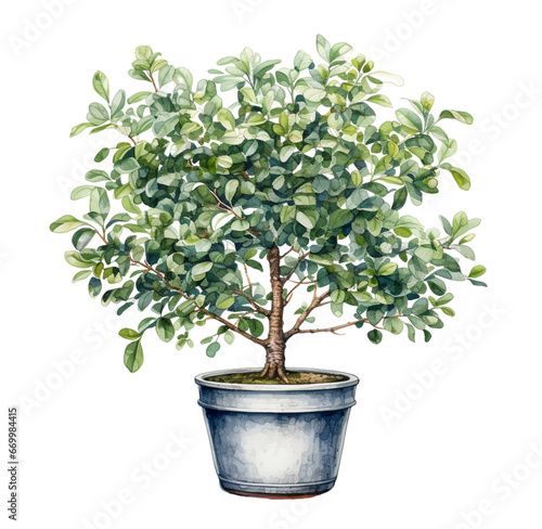 Watercolor tree in a pot Generative AI, png image.