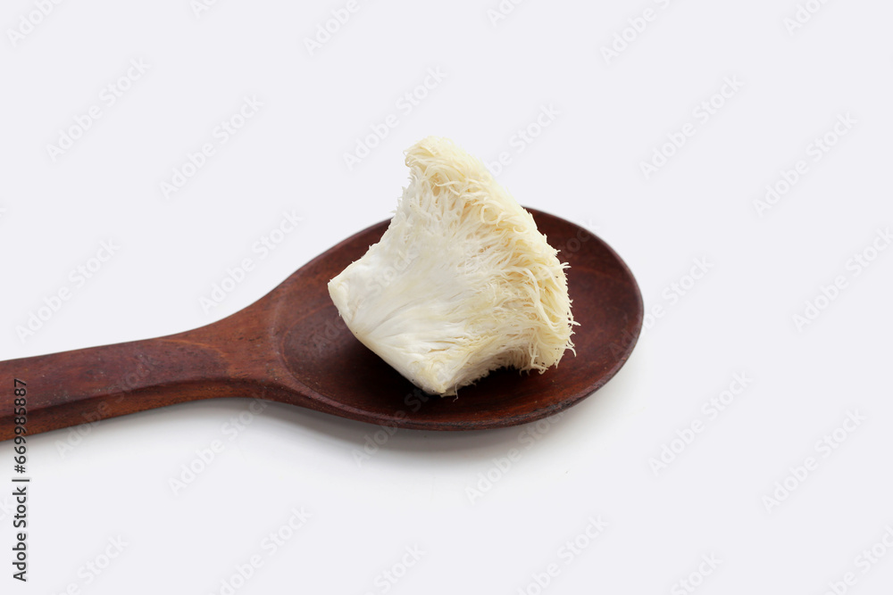 Fresh lion's mane mushroom. (Yamabushitake Mushroom) Fresh lion's mane mushroom. (Yamabushitake Mushroom)