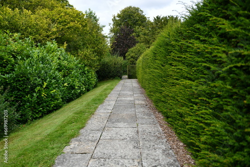 path in the garden