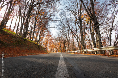 Road through the autumn forest