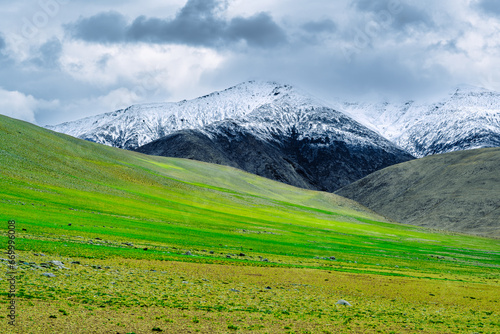 landscape in the summer