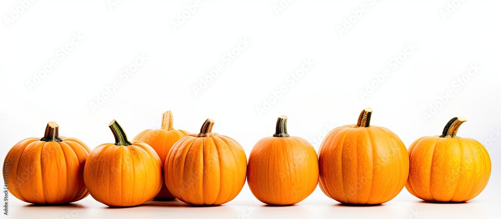 Obraz premium White backgrounded pumpkins
