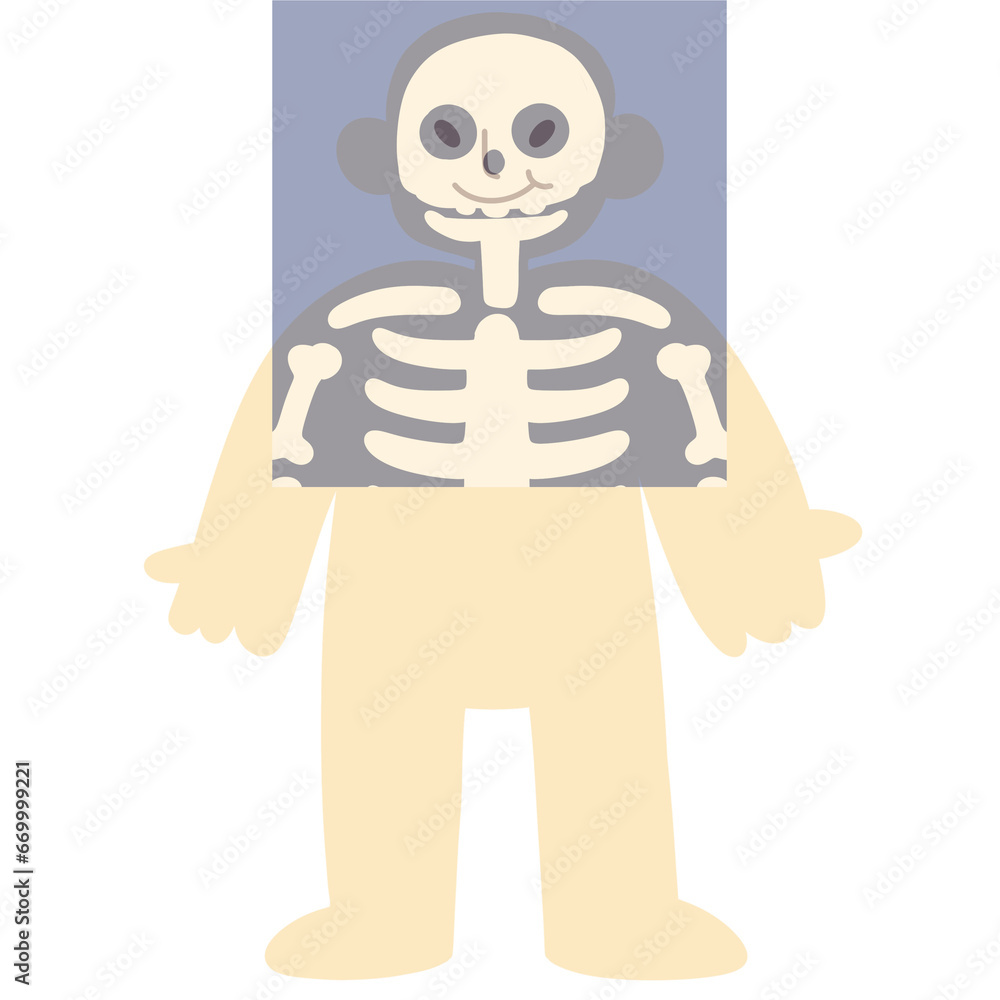 x ray skeleton bone body human cute cartoon Element of educational infographics for kids x ray skeleton bone body human cute cartoon Element of educational infographics for kids