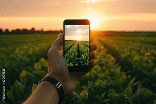 Taking photos of the fields with smartphone photo