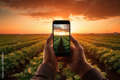 Taking photos of the fields with smartphone photo