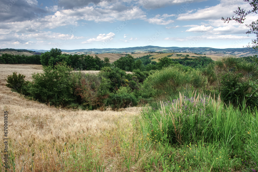 Fototapeta premium Italien - Toskana - Asciano - Umland