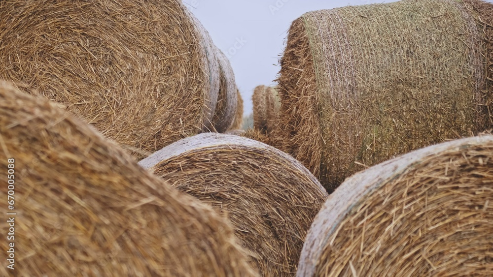 Hay Rolls Stacked on Harvested Farm Field on Cloudy Autumn Day