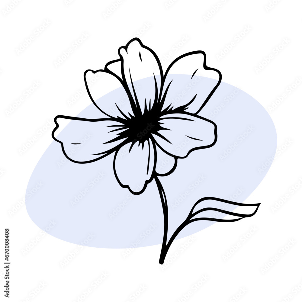 Vector line black illustration graphics flower cosmea with colors stain isolated on white design element