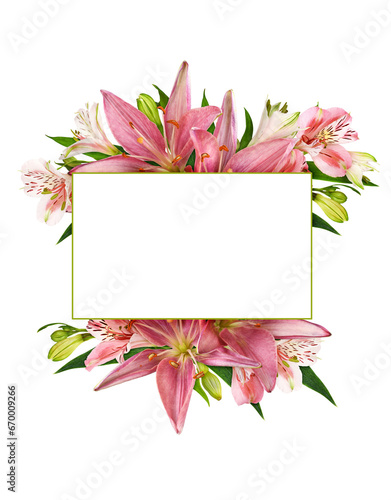 Coral alstroemeria, lily fl...
