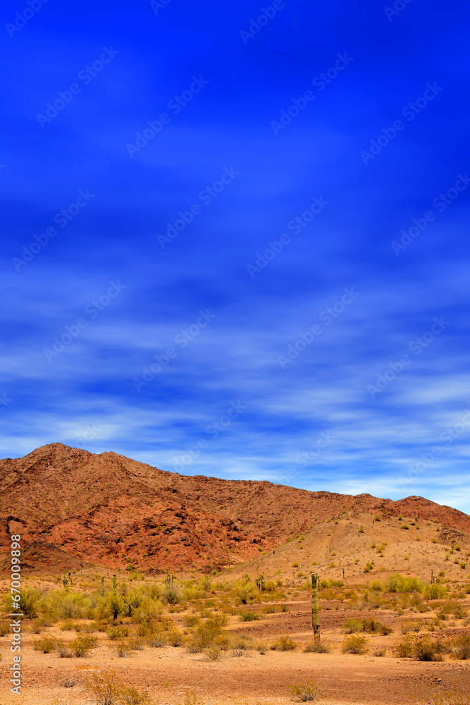 Sonora Desert Arizona Sonora Desert Arizona