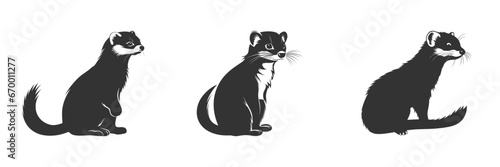 Silhouette of a ferret animal. Vector illustration