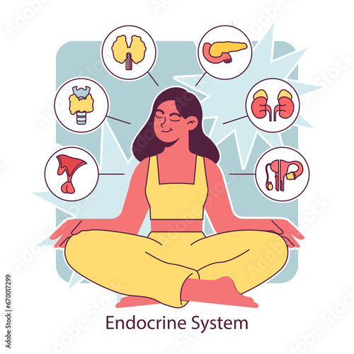 Endocrine system organ. Human gland function. Pancreas, pituitary, adrenal and thyroid gland. Human hormones secretion and balance. Metabolism regulation. Flat vector illustration